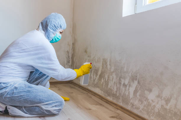 Mold Remediation specialist working in Bloomfield